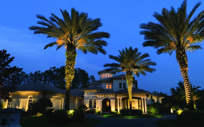 Palm & Tree Uplighting